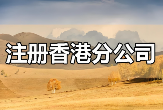 内地公司在香港注册分公司的流程
